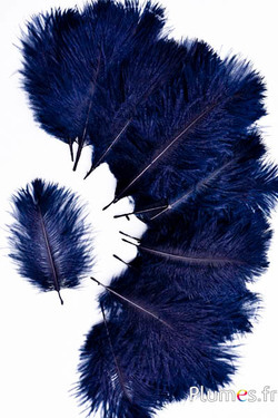 Strauss Bellies - 8-13 cm - nachtblau